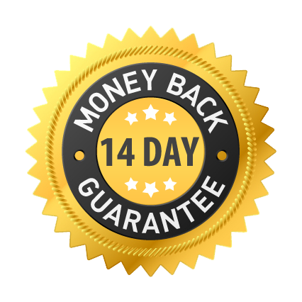 Buy research papers in us with money back gurantee